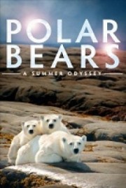 Gấu Bắc Cực - Polar Bears: A Summer Odyssey 