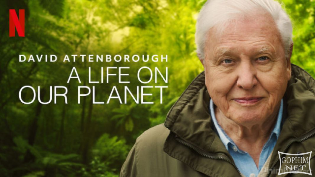 David Attenborough: Một Cuộc Đời Trên Trái Đất - David Attenborough: A Life on Our Planet