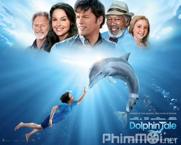 Câu Chuyện Cá Heo - Dolphin Tale